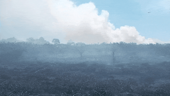GIF_20240813_181027_501.gif.6713898bc1a46890a325ec748f1c3033.gif