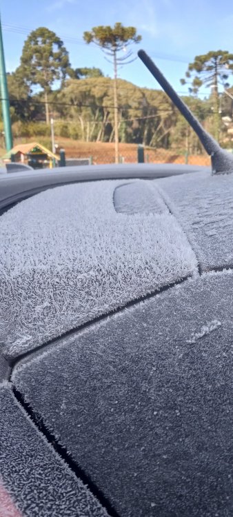 IMG_20240811_082650_520_HDR.thumb.jpg.82164b3cbfda853cdf46ddafcdff05ff.jpg