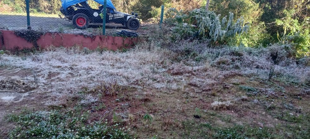 IMG_20240811_085511_764_HDR.thumb.jpg.37c070a34dd62c4a7e01c4f468ae82ac.jpg