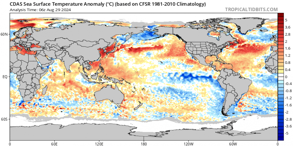 cdas-sflux_ssta_global_1.thumb.png.73cfc4ee425170563f8485df6a535d5b.png