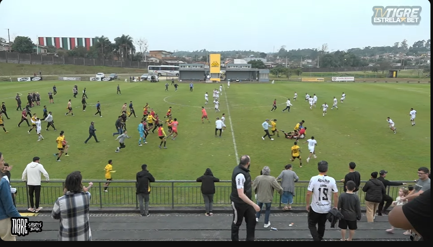 criciuma.png.c3552c54e5aaaa99229bfe0119f44ec0.png