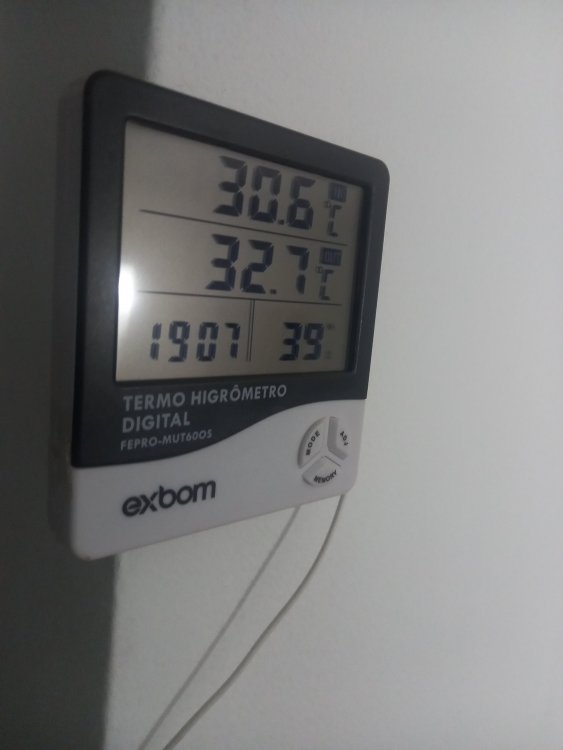 17260918451299087836079146446334.jpg