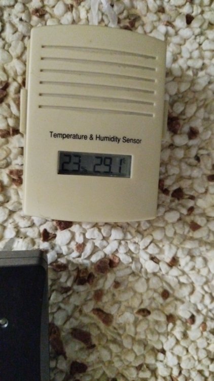 IMG-20240913-WA0047.jpeg