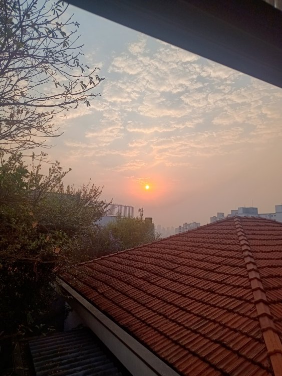 IMG_20240905_065912553_HDR.jpg