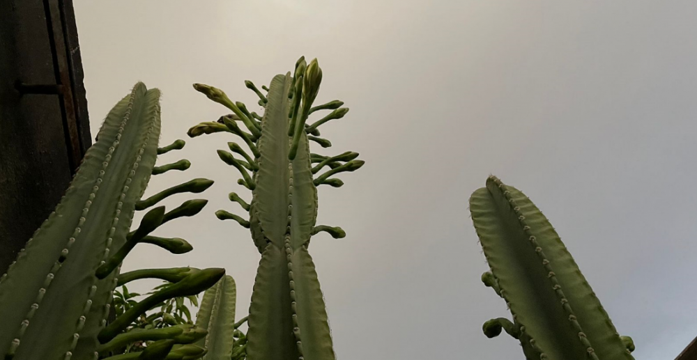 image.thumb.png.078672fc723d0980566d1a65312436b8.png