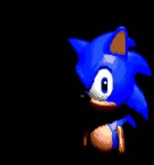sonic.jpg.b33ca01f61bacd9520d88dfcdbf20f54.jpg