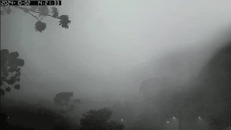GIF_20241002_153154_148.gif.fe8fc8122d4dd82f1c5e32ee0c27d327.gif
