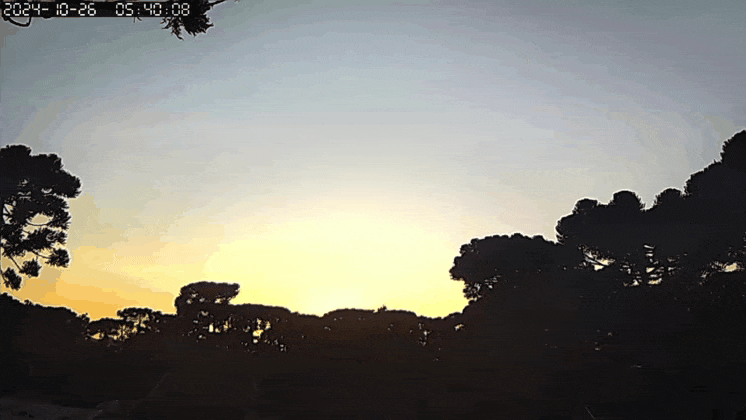 GIF_20241027_190729_982.gif.6e5363252f819b21a71c6e0c1027dce5.gif