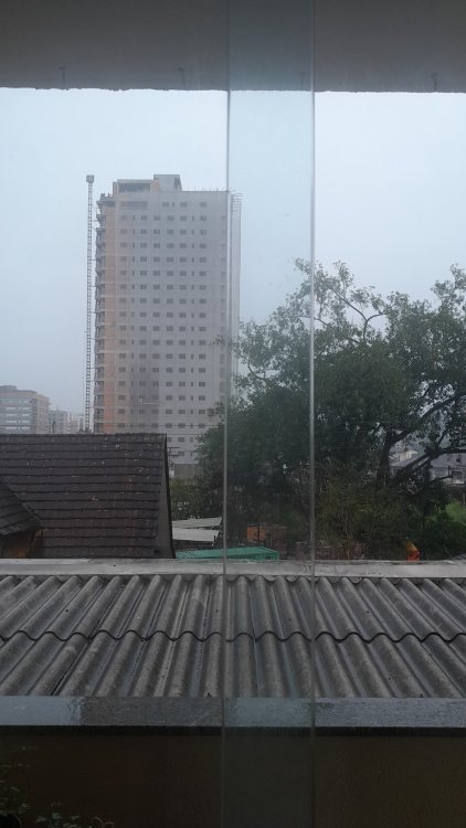 IMG-20241002-WA0017.thumb.jpeg.858f32731520abbf26f60012cfc7bd05.jpeg
