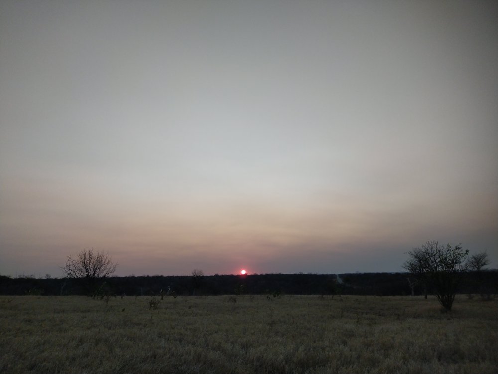 IMG_20241005_173253.thumb.jpg.9687ffa10ce19c80e14d96e1083c8bb0.jpg