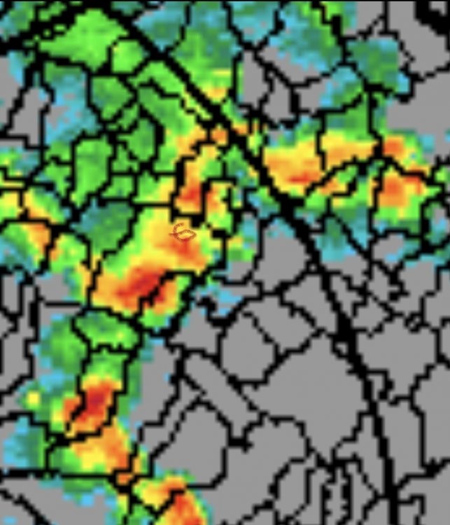 Screenshot_20241012-092841_Gallery.thumb.jpg.2c91f713c2c1304f8532c12f7d27f0c1.jpg