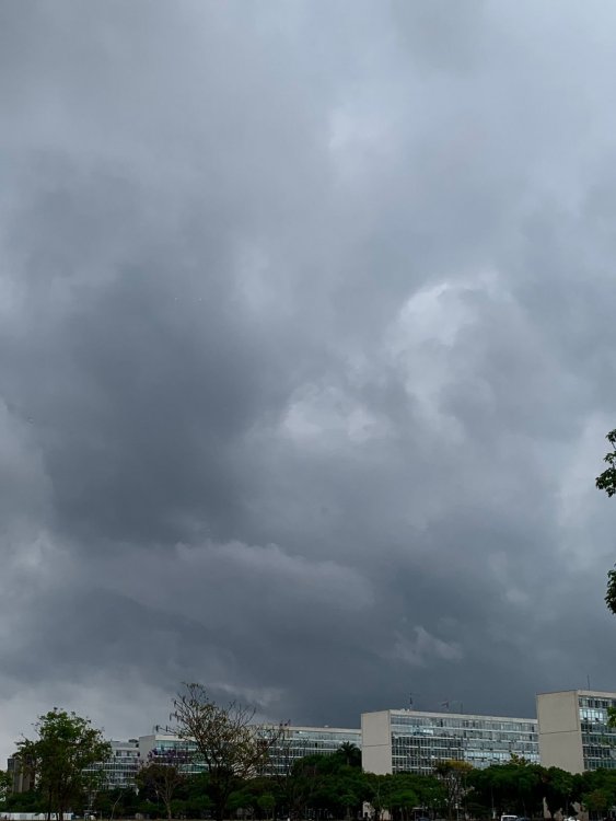 d660d5e9-76cb-4338-8f46-976d98169b26.thumb.jpg.eec1225ca4ac819e1f536fa4d3c86818.jpg