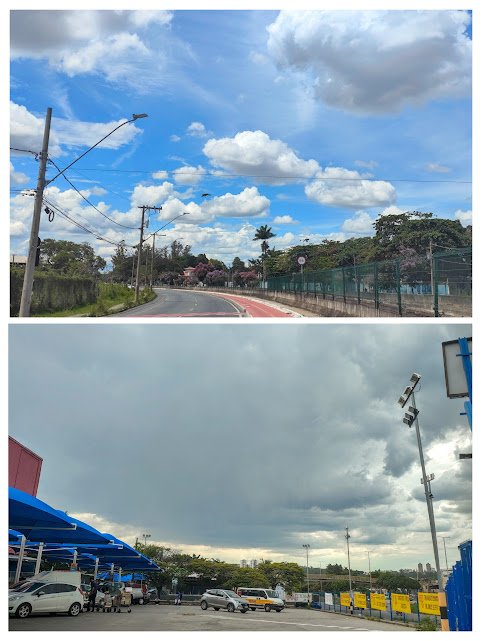 20241102_193633-COLLAGE.jpg.ed915e60d10c9cb05992abed825f1e6e.jpg