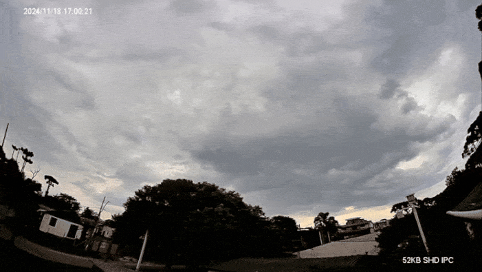 GIF_20241119_112638_144.gif.57a57916ee5c62af51a6ad20da188d27.gif
