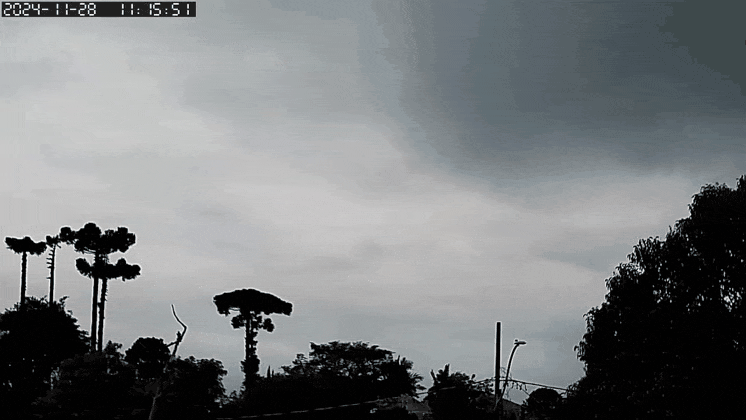 GIF_20241128_171218_552.gif.7e0ae675d78b0d9b246fe7ce92bc8c1e.gif