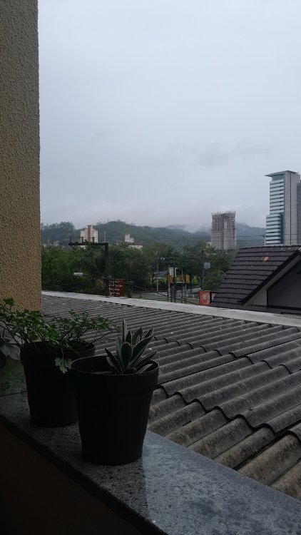 IMG-20241103-WA0013.thumb.jpeg.ff3ffcbef02366be12f38566f875f857.jpeg