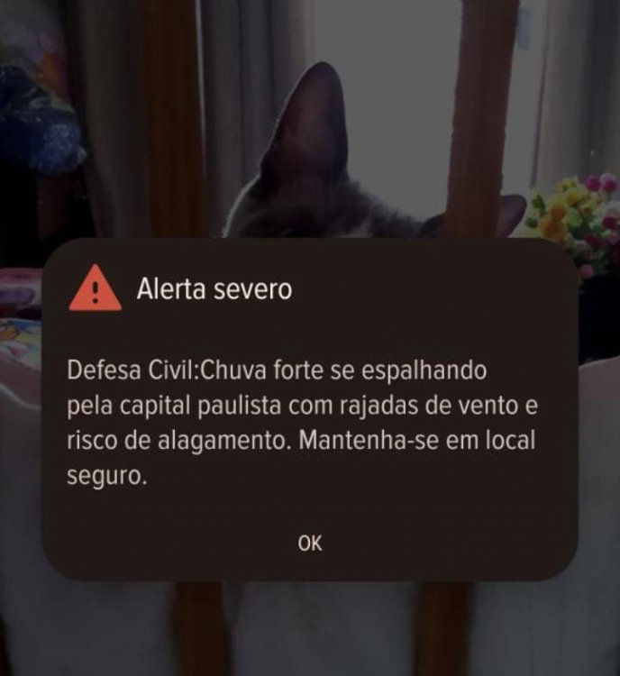 1677050945_WhatsAppImage2025-01-24at18_03_49.thumb.jpeg.efd64cd2a068bacf7303504a082d0bd0.jpeg