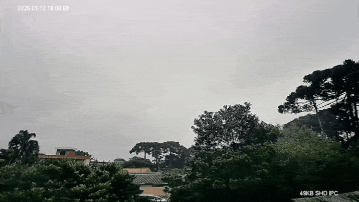 GIF_20250113_085443_454.gif.90e4858e65c57260deaeb653310d86ed.gif
