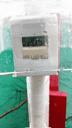 GIF_20250119_100627_903.gif.19f178f2e732e6858e9c22dc62da55d3.gif
