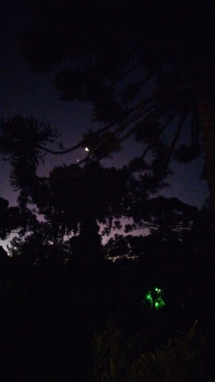 IMG-20250103-WA0095.jpeg