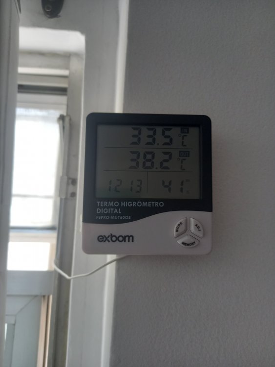 20250217_120004.jpg