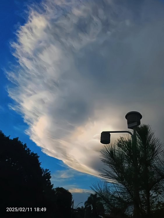AirBrush_20250211185517.thumb.jpg.aaae7bc77162a5f535b9197a69b848e1.jpg