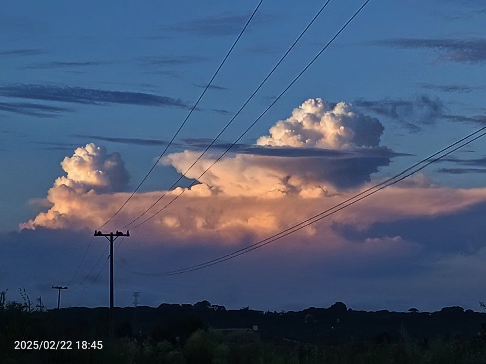 AirBrush_20250222193656.thumb.jpg.9f6ba4bd5477f1b0b03ed76385dd2ddd.jpg