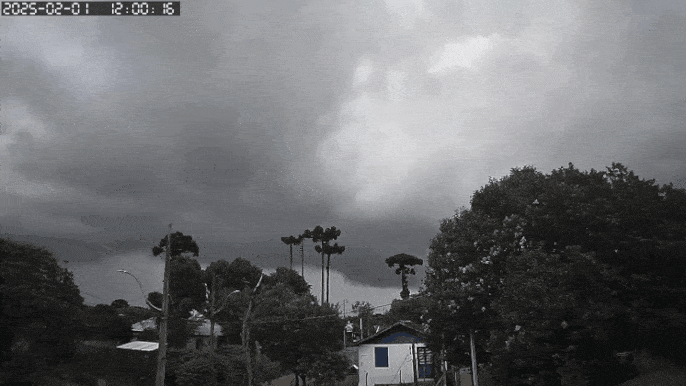 GIF_20250201_125017_146.gif.998274765d643936503f996ab574f425.gif