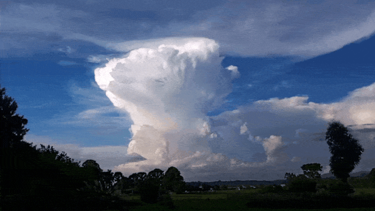 GIF_20250211_183840_862.gif.c06309b710ac4d3c84583df4881bc4c7.gif