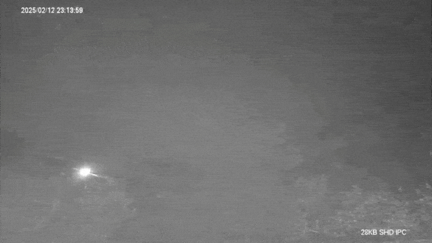 GIF_20250212_231916_580.gif.9630e8ebfbac90f35eb928bb57d7da72.gif