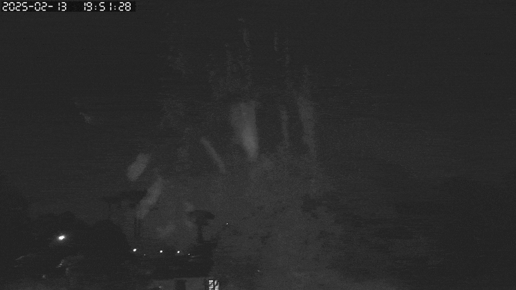 GIF_20250213_205129_864.gif.09af604791549ecfac593e3e3021ce75.gif