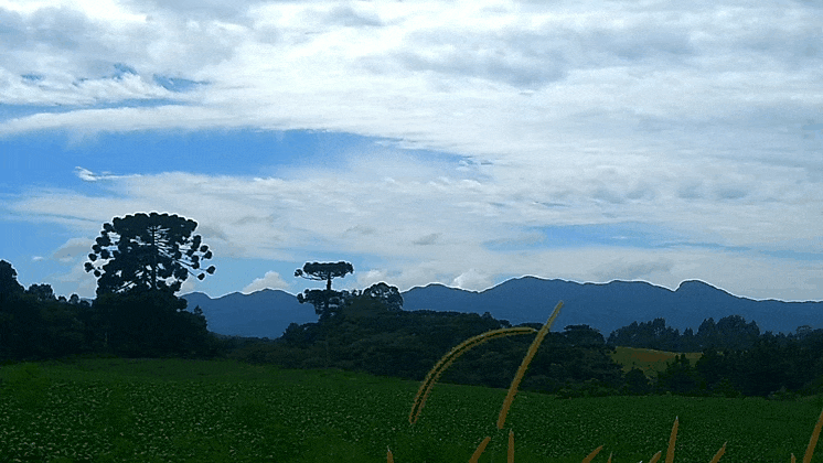 GIF_20250216_164245_907.gif.8cb604de291be8a619c72155c7dc492c.gif