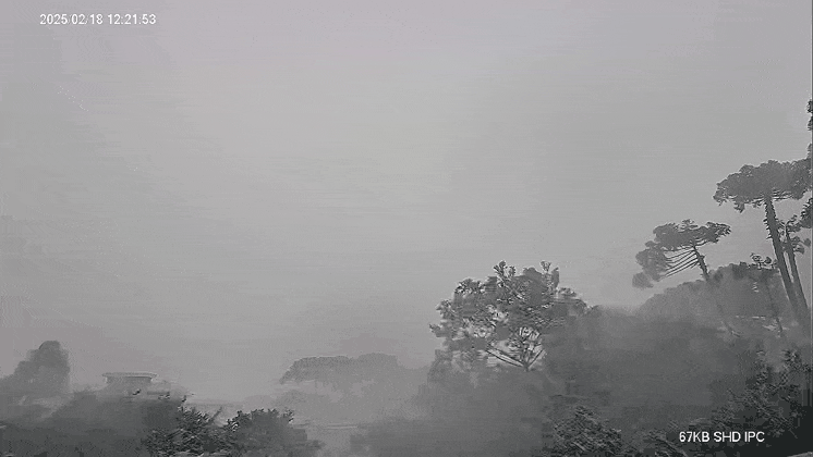 GIF_20250218_180802_354.gif.70ac9c018c0939afea79b25555b38cab.gif