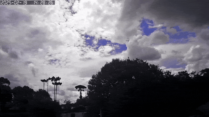 GIF_20250219_161635_378.gif.bda1069fe2647c24fa5795ee91e5a348.gif