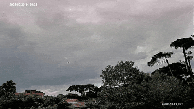 GIF_20250220_185545_033.gif.aaf7e3fa414c576de31b2c473477dbb5.gif