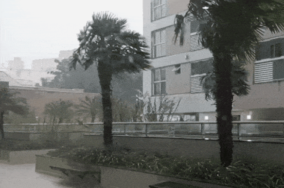 GIF_20250225_213049_101.gif.8218ee73ddd4381f3310a72f04186b2e.gif