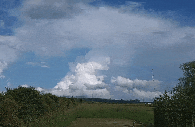 GIF_20250226_174557_389.gif.a9fc4c8a6fe2599c46cb8f0e77fb6d8e.gif