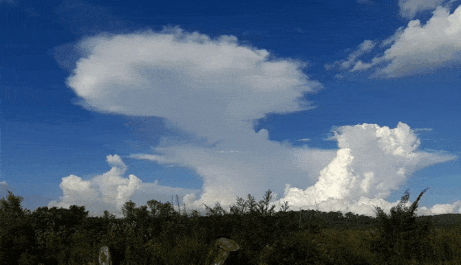 GIF_20250226_181240_197.gif.371fa5f3c9f4b618f4d4b7a8bad59f63.gif