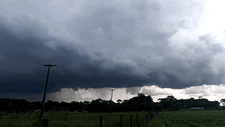 GIF_20250227_160630_201.gif.449e308db0104654ed12eaa9fac2b863.gif
