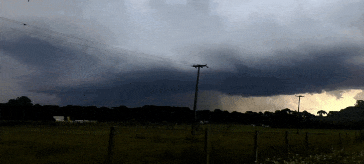 GIF_20250227_184539_417.gif.2d8a96c2c83bdbe8cad343e3b0a2d216.gif