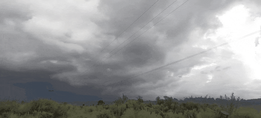 GIF_20250227_185047_567.gif.e8243001dc346a3aa21b7b14989990a4.gif