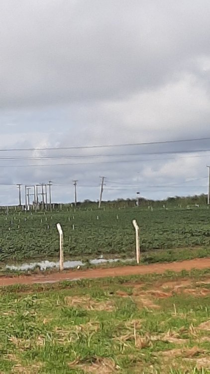 20250309_083623.jpg