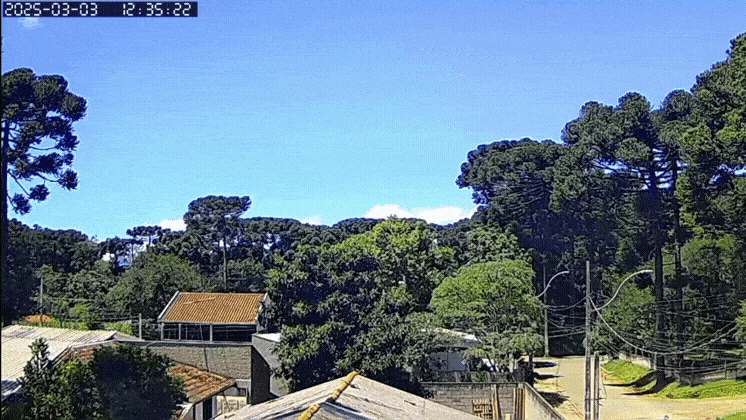 GIF_20250303_124250_466.gif.9f0d24f020a3d9a805aa02472efe96d5.gif