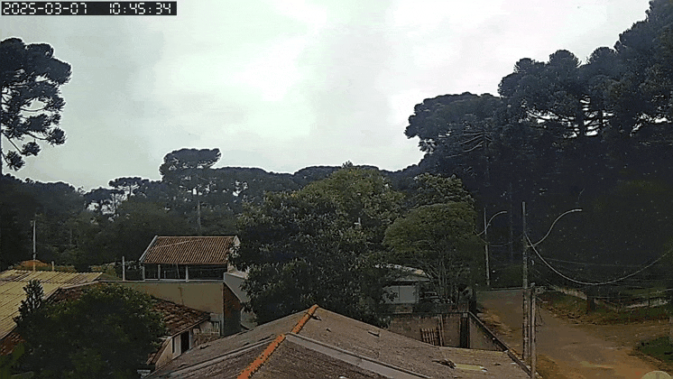 GIF_20250308_090740_952.gif.9df3dd062c01054e5a07029293d3173a.gif