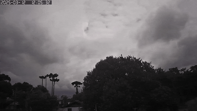GIF_20250312_181534_498.gif.8eeaf4eb1f21a45849f851b70751ec0f.gif