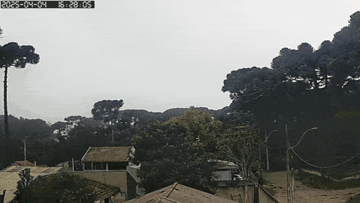 GIF_20250404_173355_868.gif.7a72516def3f8683e0841f691af43cbf.gif