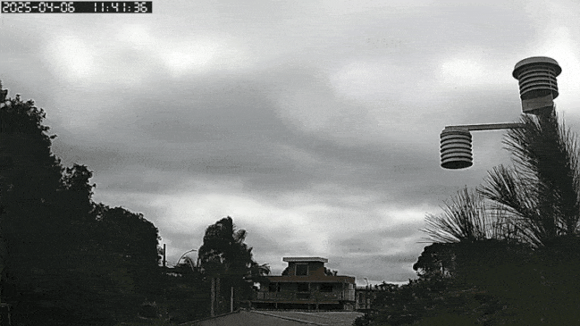 GIF_20250406_114516_942.gif.8603b7c0c302dec32f9ab069e1988e13.gif