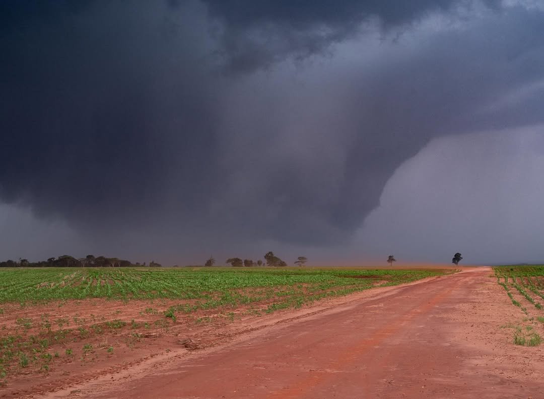 Tornados no Brasil - Discussões sobre classificações - Page 3 - Tempo  Severo - Brasil Abaixo de Zero