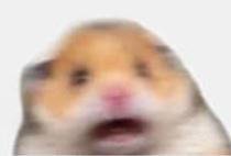 image.png.6e70d890586590fd679703251fceb3b3.png