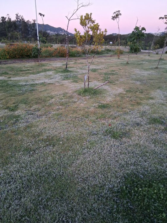 WhatsApp Image 2025-06-25 at 07.07.06 (2).jpeg